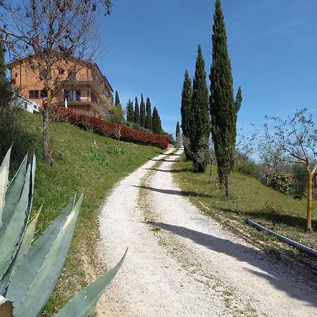 Gli Alberi With View